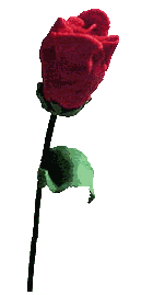 clroset2.gif